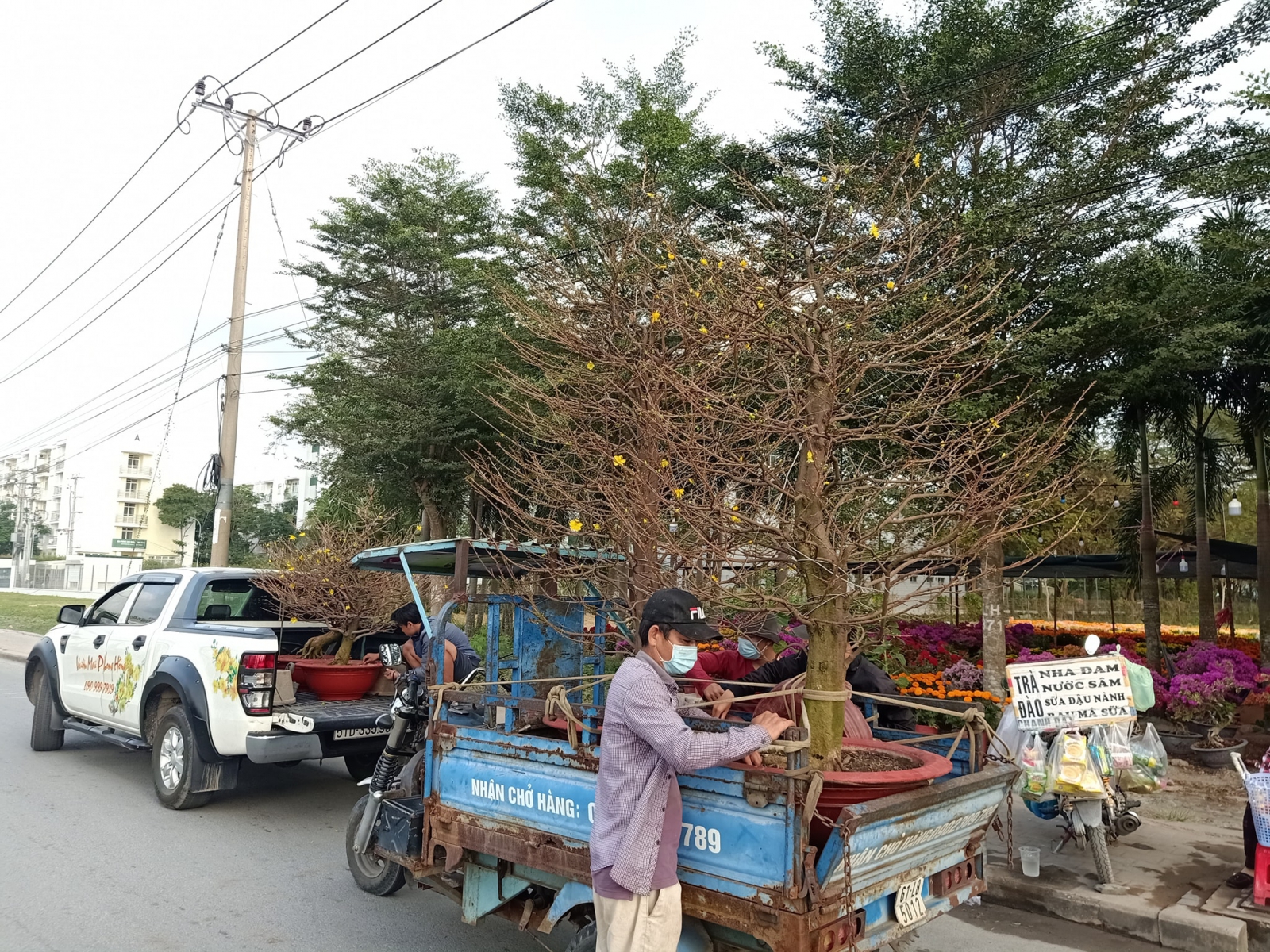 Chi phí cho thuê mai Tết